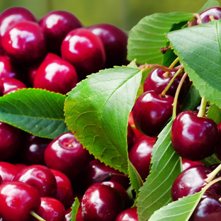 Editorial Design für das Food-Magazin GESUND KOCHEN Food-Magazin GESUND KOCHEN