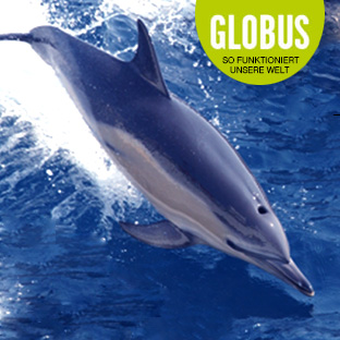 TV-Magazin Editorial Design für GONG TV-Magazin GONG Cover